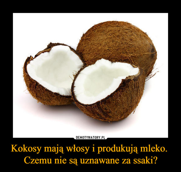 Kokosy mają włosy i produkują mleko. 
Czemu nie są uznawane za ssaki?