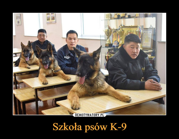 Szkoła psów K-9 –  