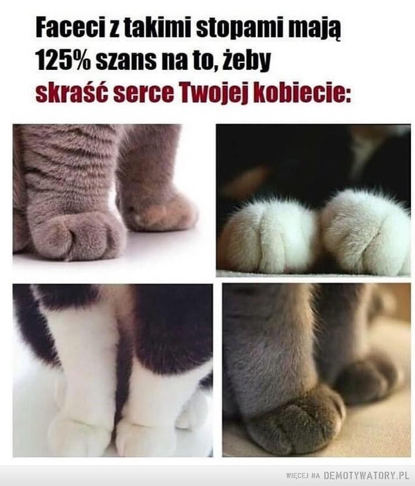 Koty –  Faceci z takimi stopami mają 125% szans na to, żeby skraść serce Twojej kobiecie: