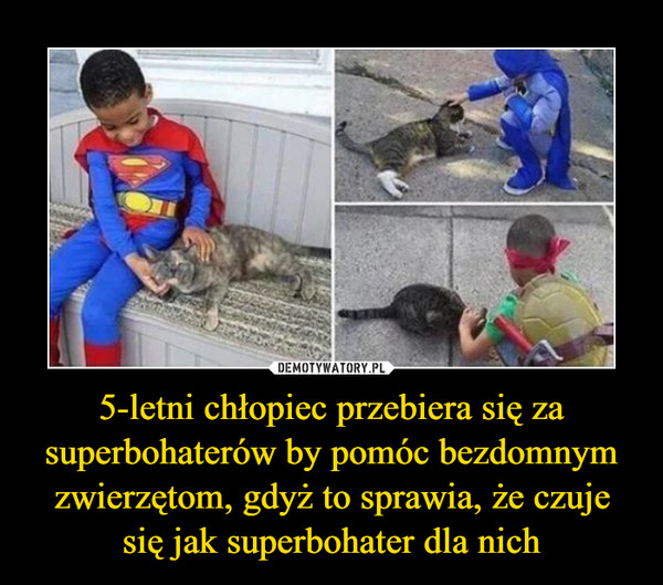 5-letni chłopiec przebiera się za superbohaterów by pomóc bezdomnym zwierzętom, gdyż to sprawia, że czuje się jak superbohater dla nich