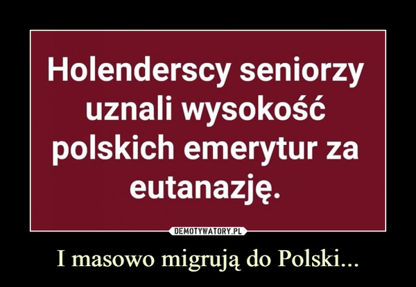 I masowo migrują do Polski... –  Holenderscy seniorzy uznali wysokość polskich emerytur za eutanazję