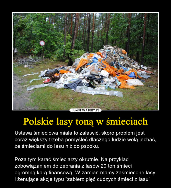 Polskie lasy toną w śmieciach