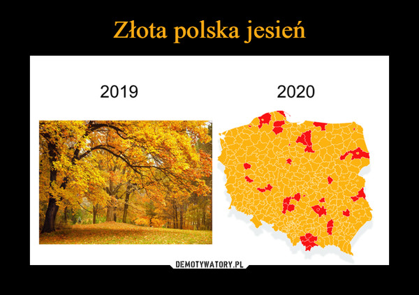 Złota polska jesień