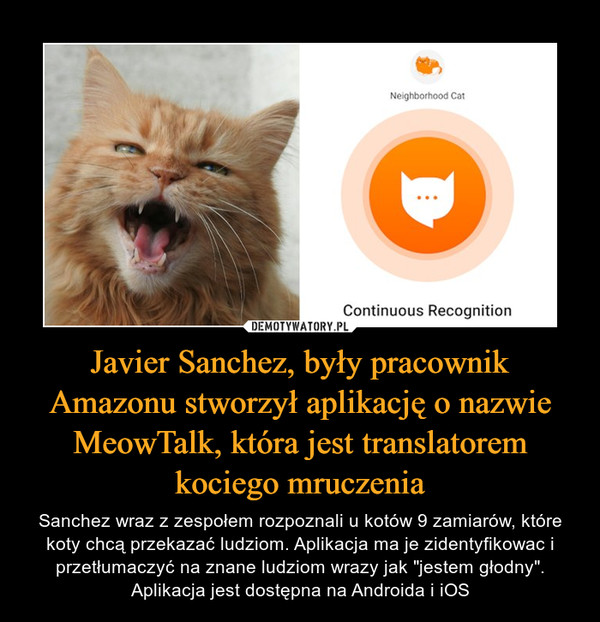 Javier Sanchez, były pracownik Amazonu stworzył aplikację o nazwie MeowTalk, która jest translatorem
kociego mruczenia