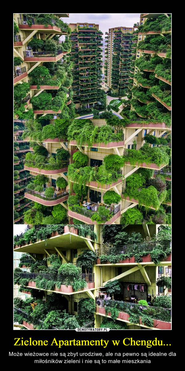 Zielone Apartamenty w Chengdu...
