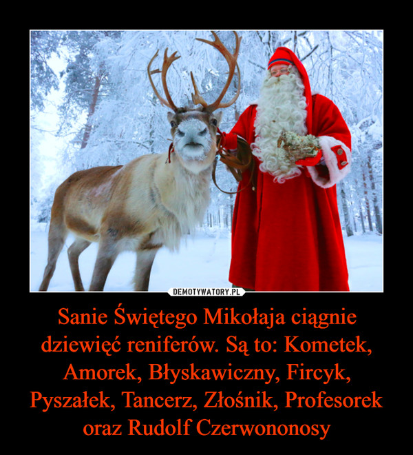 Sanie Świętego Mikołaja ciągnie dziewięć reniferów. Są to: Kometek, Amorek, Błyskawiczny, Fircyk, Pyszałek, Tancerz, Złośnik, Profesorek oraz Rudolf Czerwononosy
