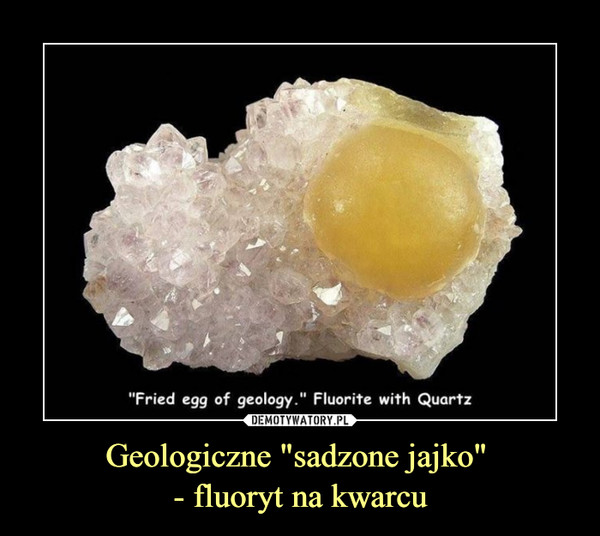Geologiczne "sadzone jajko" - fluoryt na kwarcu –  Fried egg of geology fluorite with quartz