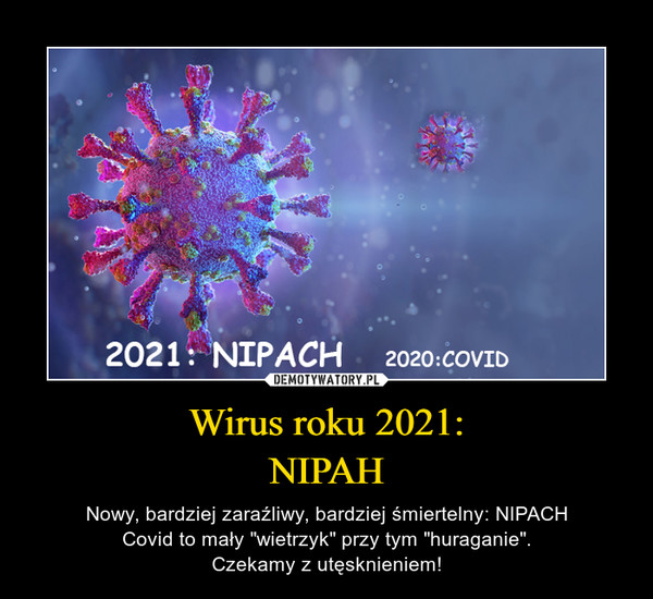Wirus roku 2021:NIPAH – Nowy, bardziej zaraźliwy, bardziej śmiertelny: NIPACHCovid to mały "wietrzyk" przy tym "huraganie".Czekamy z utęsknieniem! 