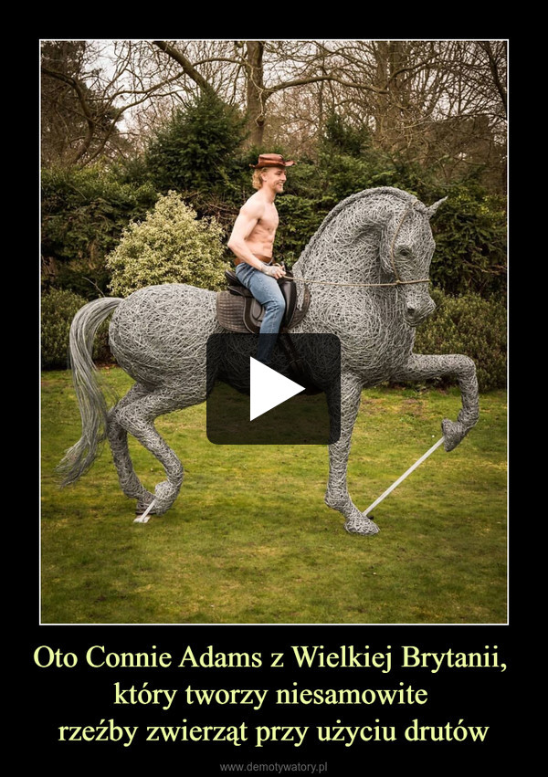 Oto Connie Adams z Wielkiej Brytanii, który tworzy niesamowite rzeźby zwierząt przy użyciu drutów –  
