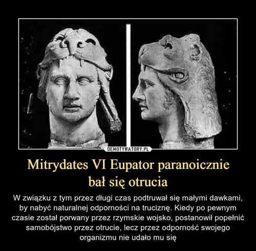 Mitrydates VI Eupator paranoicznie
bał się otrucia
