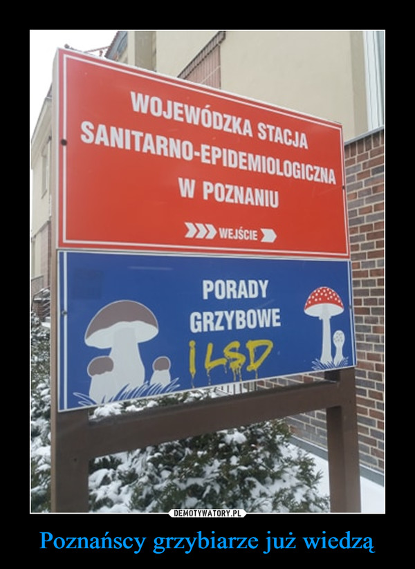 Poznańscy grzybiarze już wiedzą