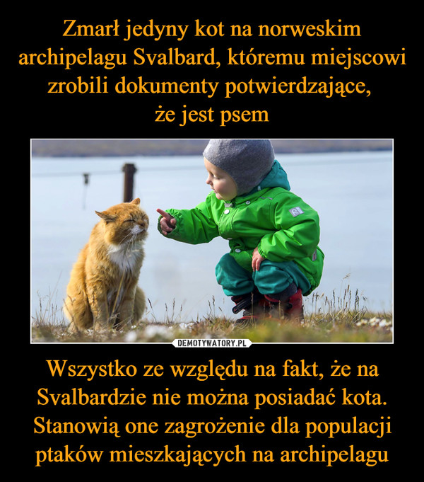 Zmarł jedyny kot na norweskim archipelagu Svalbard, któremu miejscowi zrobili dokumenty potwierdzające, 
że jest psem Wszystko ze względu na fakt, że na Svalbardzie nie można posiadać kota. Stanowią one zagrożenie dla populacji ptaków mieszkających na archipelagu