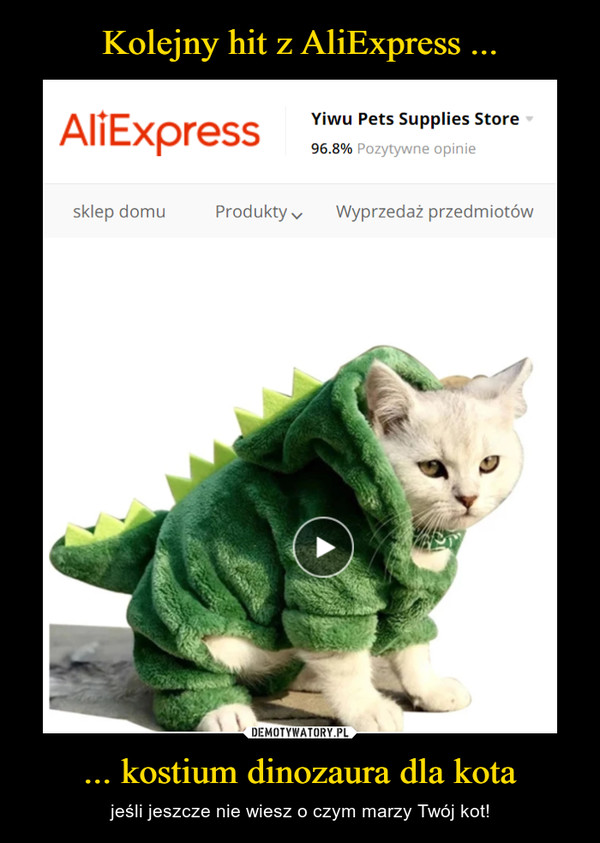 ... kostium dinozaura dla kota – jeśli jeszcze nie wiesz o czym marzy Twój kot! 