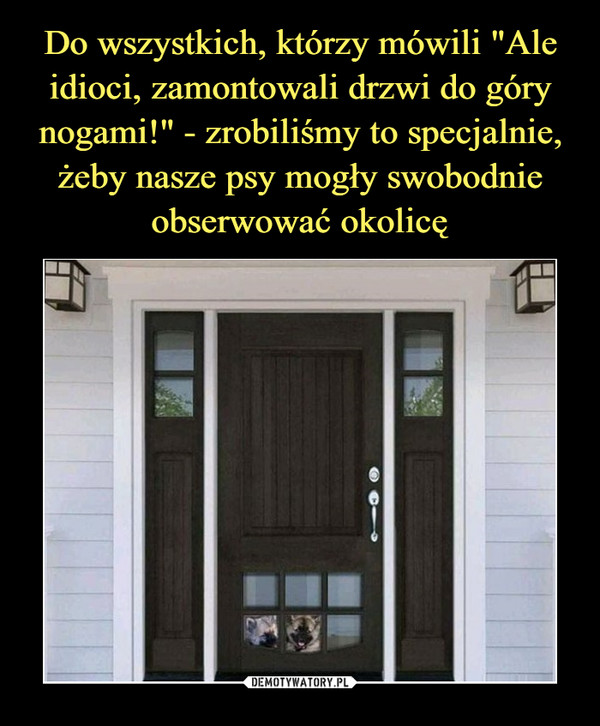 Do wszystkich, którzy mówili "Ale idioci, zamontowali drzwi do góry nogami!" - zrobiliśmy to specjalnie, żeby nasze psy mogły swobodnie obserwować okolicę