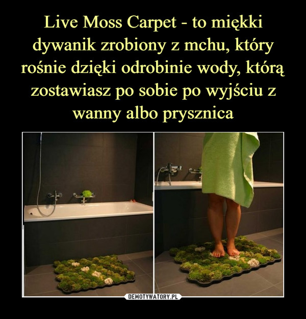 Live Moss Carpet - to miękki dywanik zrobiony z mchu, który rośnie dzięki odrobinie wody, którą zostawiasz po sobie po wyjściu z wanny albo prysznica
