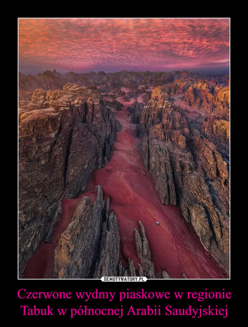 Czerwone wydmy piaskowe w regionie Tabuk w północnej Arabii Saudyjskiej