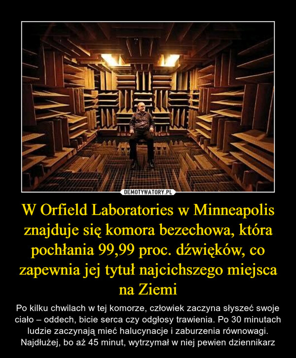 W Orfield Laboratories w Minneapolis znajduje się komora bezechowa, która pochłania 99,99 proc. dźwięków, co zapewnia jej tytuł najcichszego miejsca na Ziemi – Po kilku chwilach w tej komorze, człowiek zaczyna słyszeć swoje ciało – oddech, bicie serca czy odgłosy trawienia. Po 30 minutach ludzie zaczynają mieć halucynacje i zaburzenia równowagi.Najdłużej, bo aż 45 minut, wytrzymał w niej pewien dziennikarz 