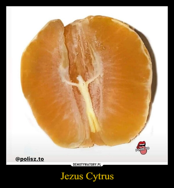 Jezus Cytrus –  