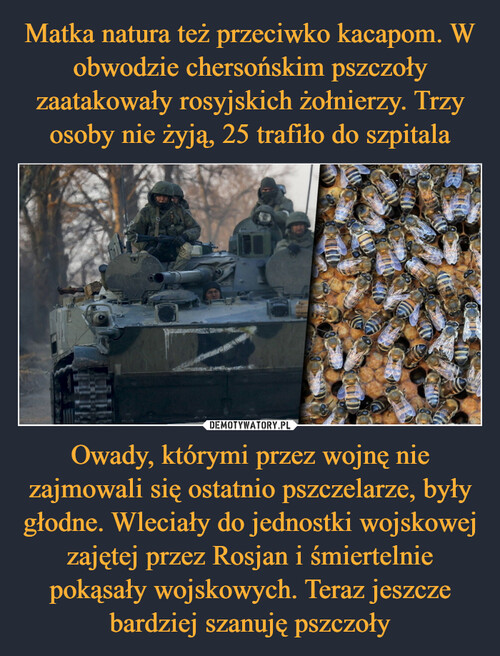 Matka natura też przeciwko kacapom. W obwodzie chersońskim pszczoły zaatakowały rosyjskich żołnierzy. Trzy osoby nie żyją, 25 trafiło do szpitala Owady, którymi przez wojnę nie zajmowali się ostatnio pszczelarze, były głodne. Wleciały do jednostki wojskowej zajętej przez Rosjan i śmiertelnie pokąsały wojskowych. Teraz jeszcze bardziej szanuję pszczoły