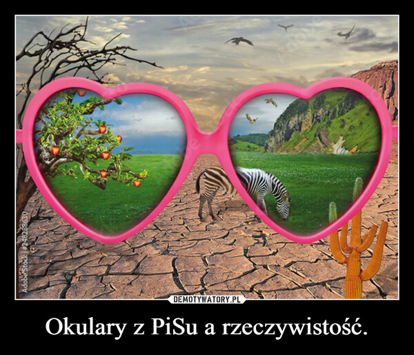 Okulary z PiSu a rzeczywistość. –  