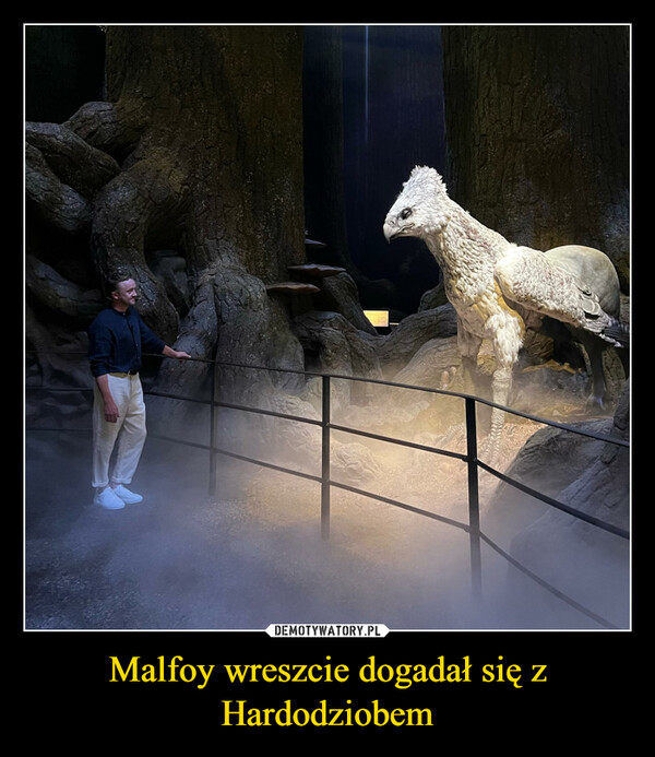 Malfoy wreszcie dogadał się z Hardodziobem –  