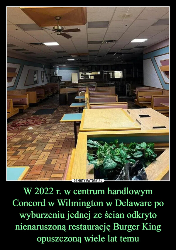 W 2022 r. w centrum handlowym Concord w Wilmington w Delaware po wyburzeniu jednej ze ścian odkryto nienaruszoną restaurację Burger King opuszczoną wiele lat temu –  