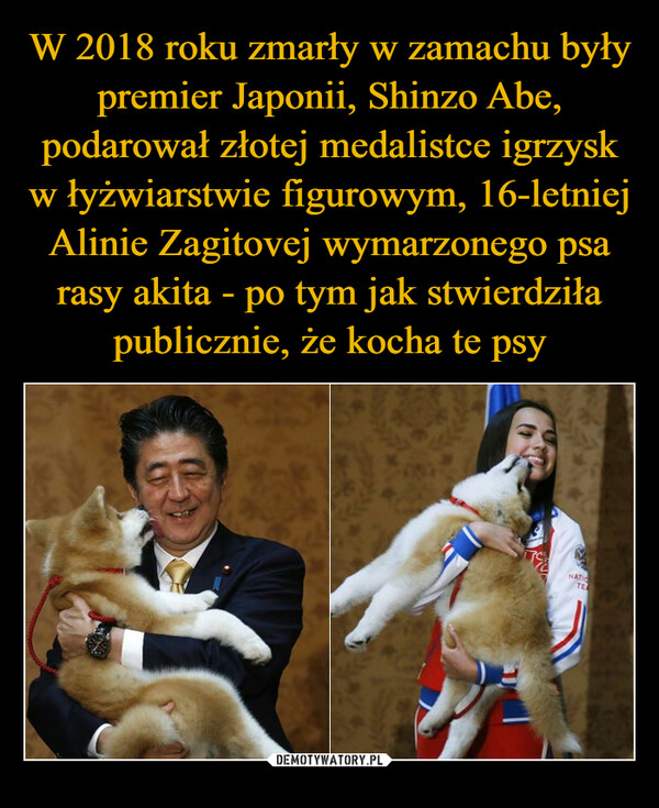 W 2018 roku zmarły w zamachu były premier Japonii, Shinzo Abe, podarował złotej medalistce igrzysk w łyżwiarstwie figurowym, 16-letniej Alinie Zagitovej wymarzonego psa rasy akita - po tym jak stwierdziła publicznie, że kocha te psy