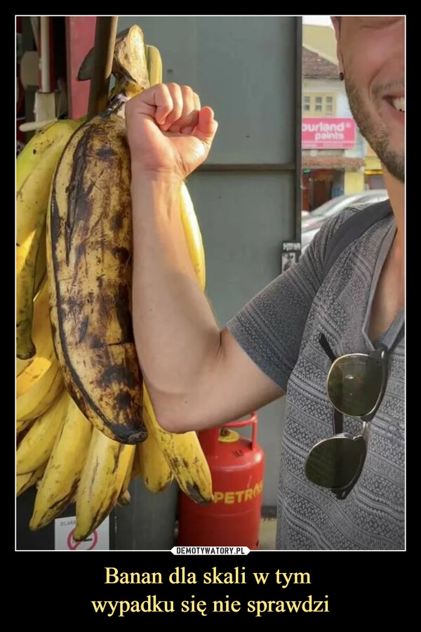 Banan dla skali w tym wypadku się nie sprawdzi –  