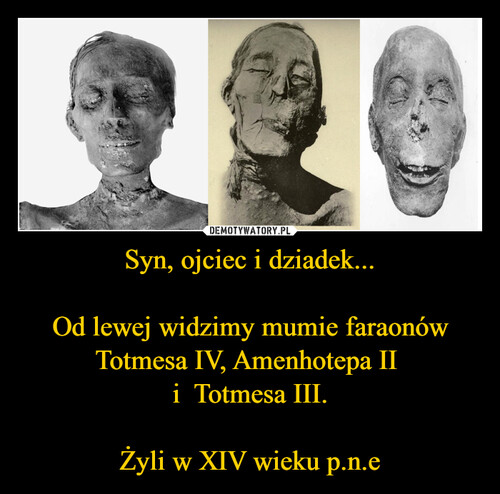 Syn, ojciec i dziadek...

Od lewej widzimy mumie faraonów Totmesa IV, Amenhotepa II 
i  Totmesa III.

Żyli w XIV wieku p.n.e