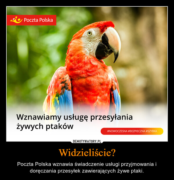 Widzieliście? – Poczta Polska wznawia świadczenie usługi przyjmowania i doręczania przesyłek zawierających żywe ptaki. 