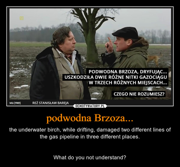 podwodna Brzoza... – the underwater birch, while drifting, damaged two different lines of the gas pipeline in three different places.What do you not understand? 