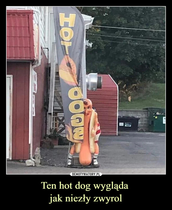 Ten hot dog wygląda jak niezły zwyrol –  Hot dog