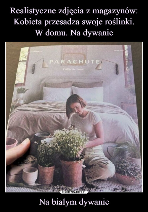 Realistyczne zdjęcia z magazynów: Kobieta przesadza swoje roślinki.
W domu. Na dywanie Na białym dywanie