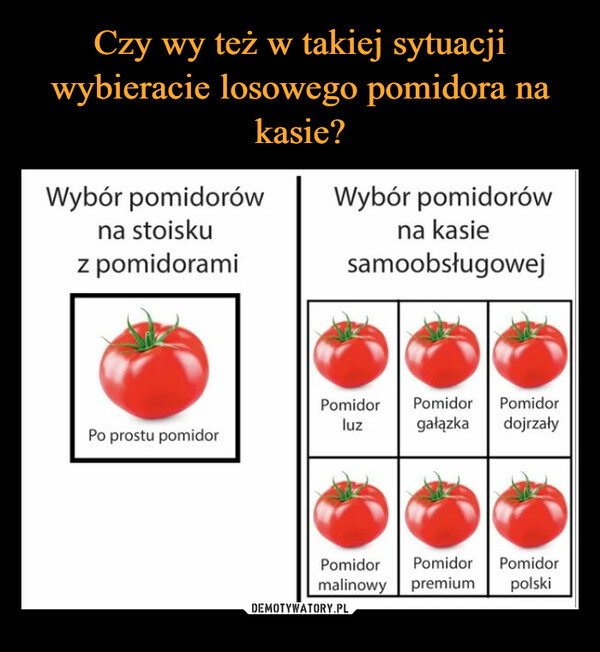  –  Wybór pomidorówna stoiskuz pomidorami