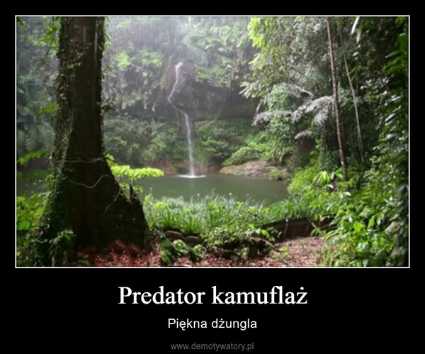 Predator kamuflaż – Piękna dżungla 