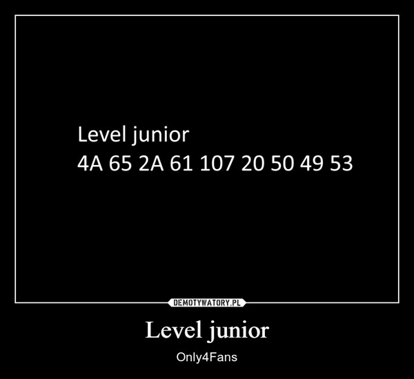 Level junior