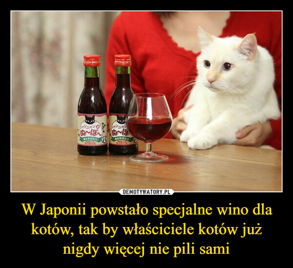 W Japonii powstało specjalne wino dla kotów, tak by właściciele kotów już nigdy więcej nie pili sami –  4,0²0Ex²y=xぬ~ぼ~ぬ〜ほまたたび入りまたたび入りCOLLE