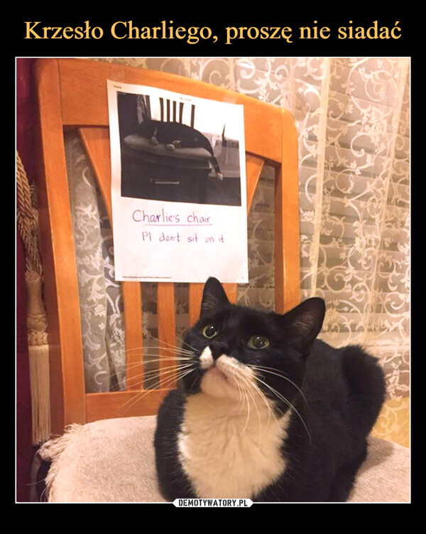  –  IIICharlie's chairPI don't sit on itJAKLA