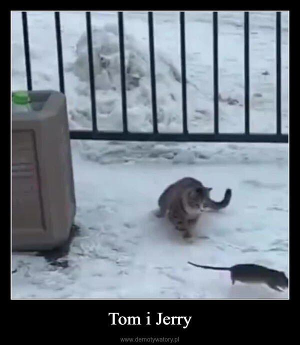 Tom i Jerry –  სა".