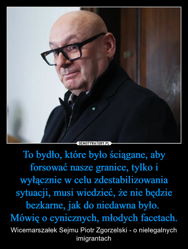 To bydło, które było ściągane, aby forsować nasze granice, tylko i wyłącznie w celu zdestabilizowania sytuacji, musi wiedzieć, że nie będzie bezkarne, jak do niedawna było. Mówię o cynicznych, młodych facetach. – Wicemarszałek Sejmu Piotr Zgorzelski - o nielegalnych imigrantach 