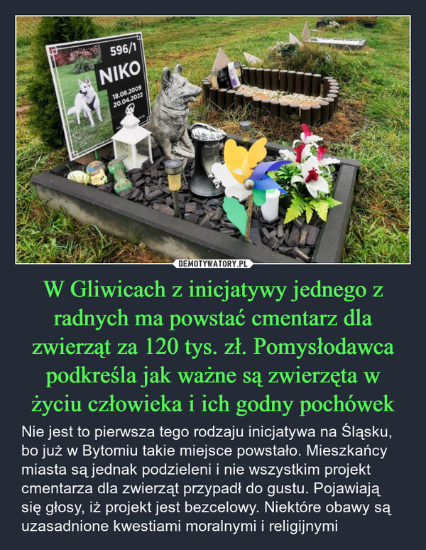 W Gliwicach z inicjatywy jednego z radnych ma powstać cmentarz dla zwierząt za 120 tys. zł. Pomysłodawca podkreśla jak ważne są zwierzęta w życiu człowieka i ich godny pochówek – Nie jest to pierwsza tego rodzaju inicjatywa na Śląsku, bo już w Bytomiu takie miejsce powstało. Mieszkańcy miasta są jednak podzieleni i nie wszystkim projekt cmentarza dla zwierząt przypadł do gustu. Pojawiają się głosy, iż projekt jest bezcelowy. Niektóre obawy są uzasadnione kwestiami moralnymi i religijnymi 596/1NIKO18.08.200920.04.2022
