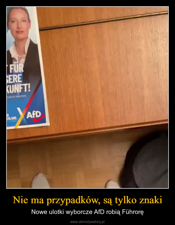 Nie ma przypadków, są tylko znaki – Nowe ulotki wyborcze AfD robią Führorę FURSEREKUNFT!splan für DeutschlandRCHLANDAfDPOV: AFD Flyer imBriefkasten