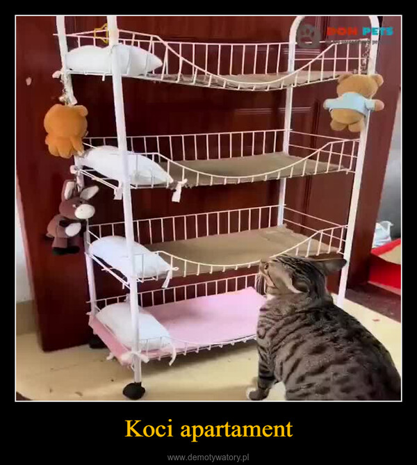 Koci apartament –  ON PE