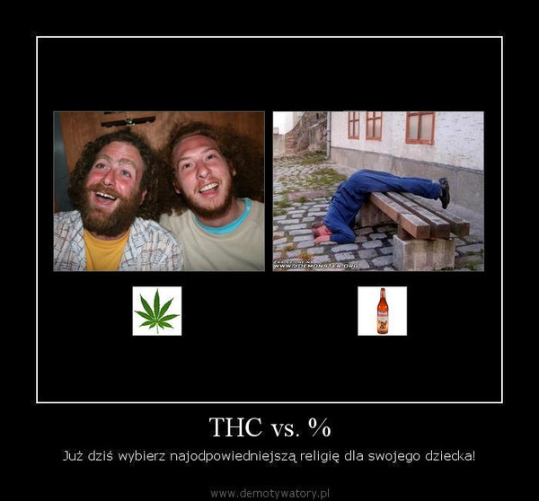 THC vs. % – Już dziś wybierz najodpowiedniejszą religię dla swojego dziecka!  